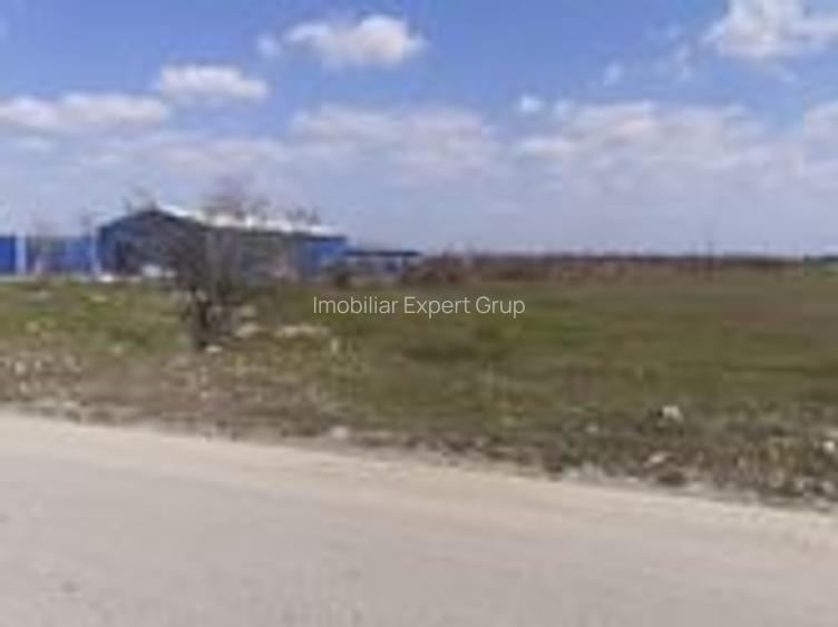 Teren intravilan 10.000 -38.000 mp industrial 1 Decembrie- DN5 stradal - 4