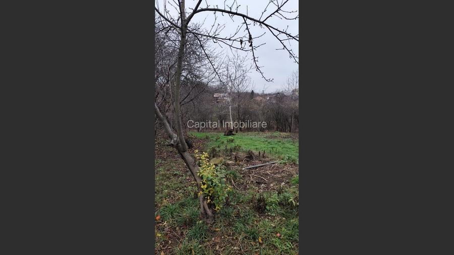 Casa Baicoi caramida 135 mp - 14