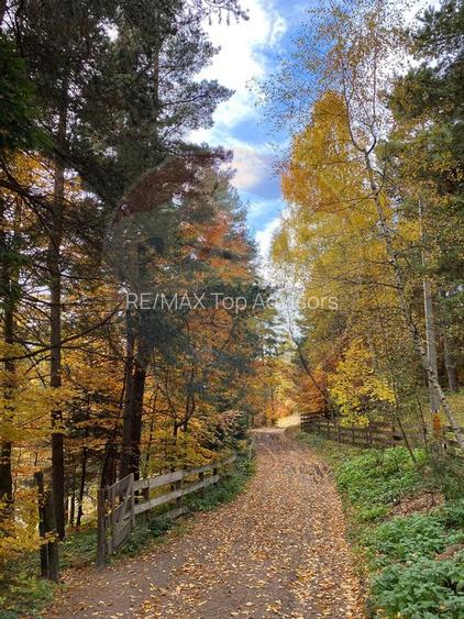 DE VANZARE Pensiune | 12 camere | Bisoca / Buzau - 18