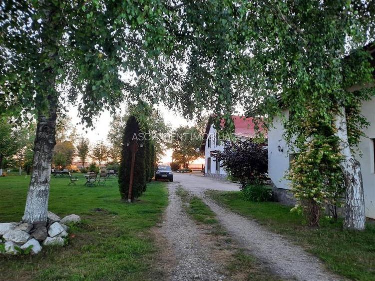 3D! La DN, Spatiu restaurant/ comercial/ activitati divertisment/ Halchiu, Braso - 26