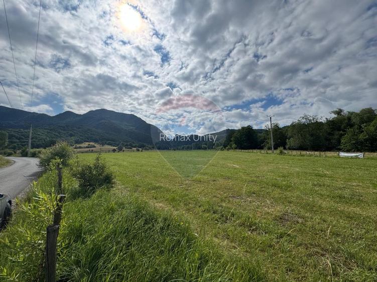 Teren de vanzare  Intravilan 19.341 mp – Cheile Râșnoavei, Parcelabil - 5