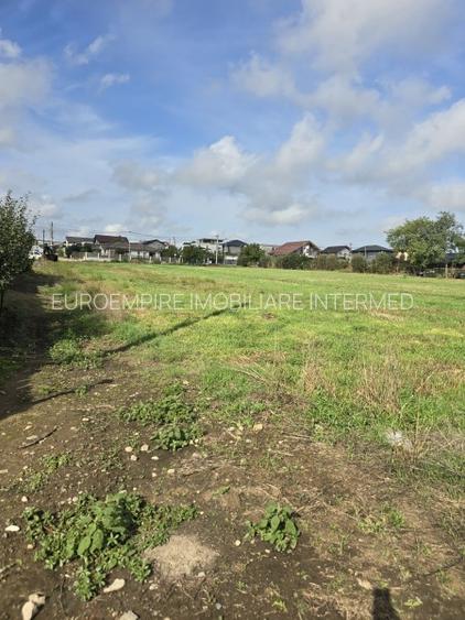 Vanzari terenuri in Lazu - 5