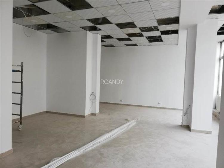 R O A N D Y  imobilare - 3