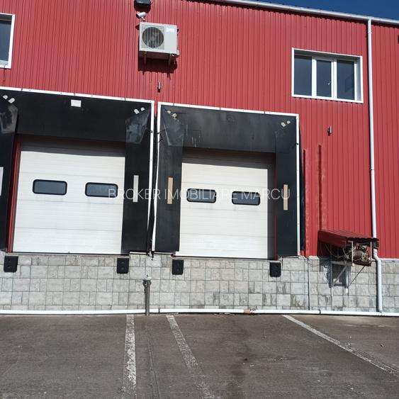 Depozit 600mp Techirghiol - 9