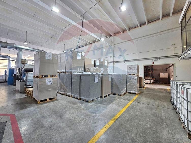 Hale Industriale 5065 mp de vanzare Str. Bradului - Bacau - 4