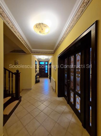 Poziție de top în Dumbravita - 16