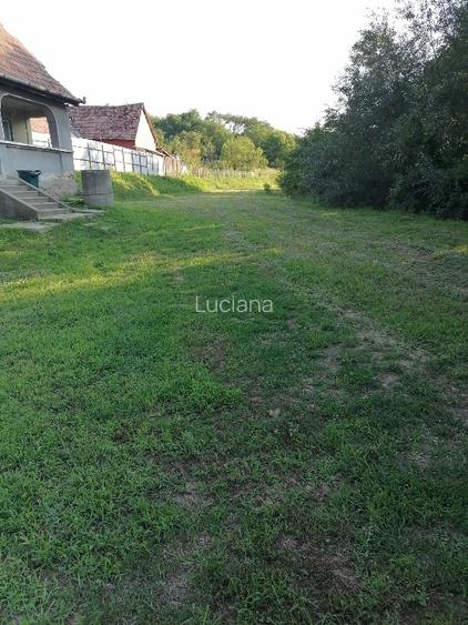 Casă și teren de vânzare  - 5