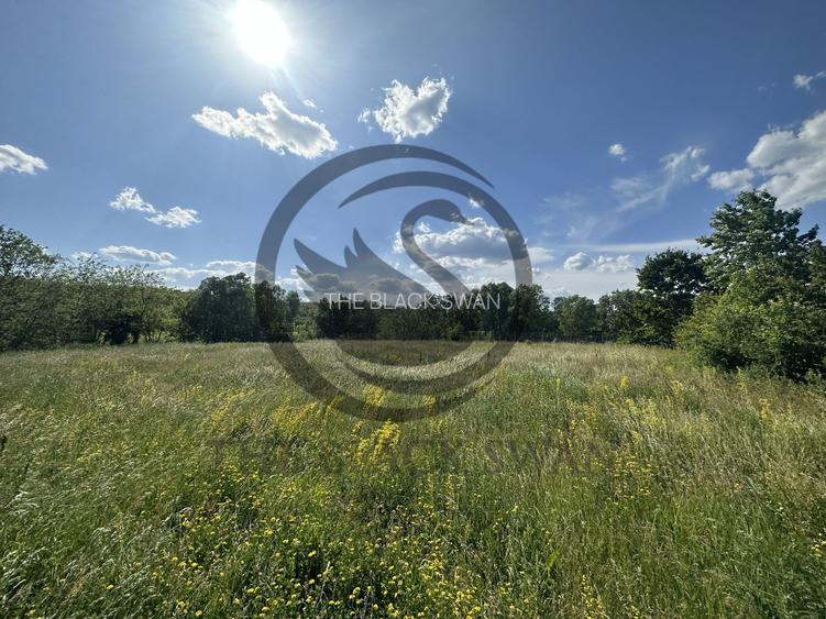 Teren Vanzare 11.000 MP Ghirdoveni | Comision 0% - 12