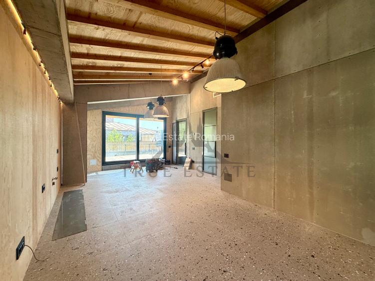 Vila noua in Cartierul Dorobanti- zona de case - 24