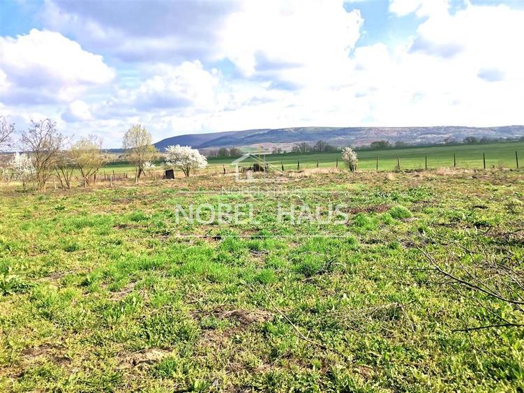 Casa batraneasca si teren intravilan, in sat Sarbi, comuna Banca, jud Vaslui - 5