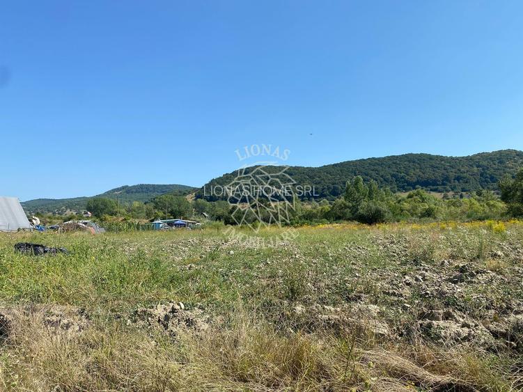 Teren 4100 mp - oportunitate investitie - Bistrita Zona Ranahum - 7