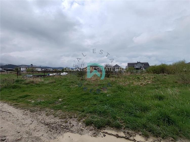 Vanzare teren Cristian - 7
