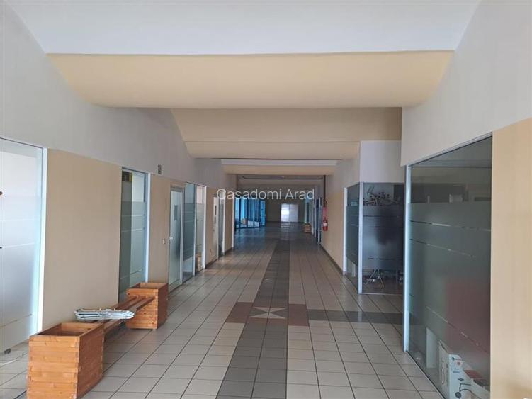 Hala pentru activitati industriale sau comerciale in Zona Industriala Arad Est - 4