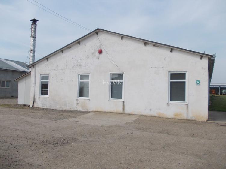 Hala de inchiriat cu birou - 3