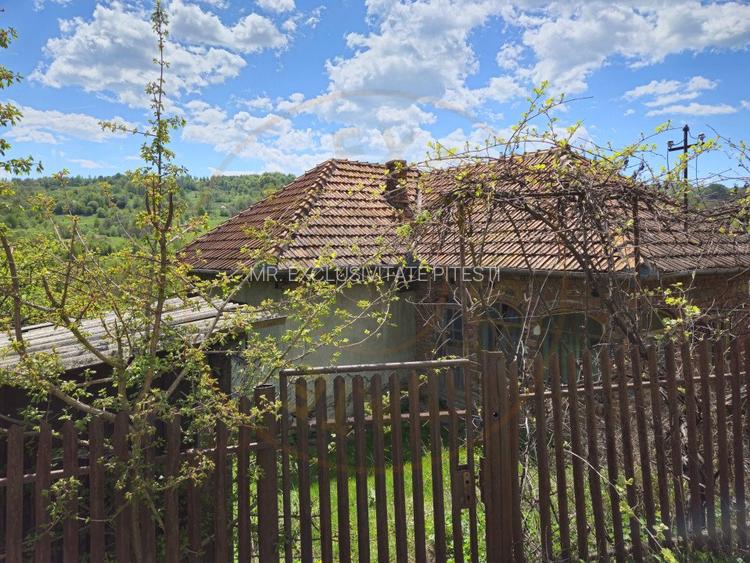 Teren 1200 mp + Casa - Comuna Arefu - 3