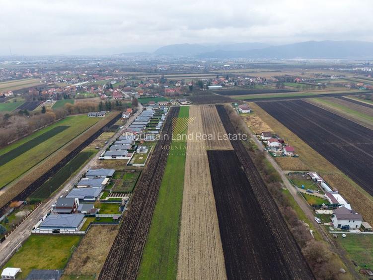 Loturi de teren, suprafete intre 467 si 535 mp, PUZ, Stupini, Albinelo - 5