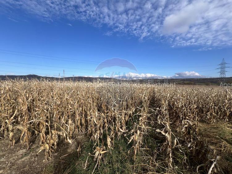 Oportunitate Investiție I Teren  2800MP I Selimbar - Sibiu - 2