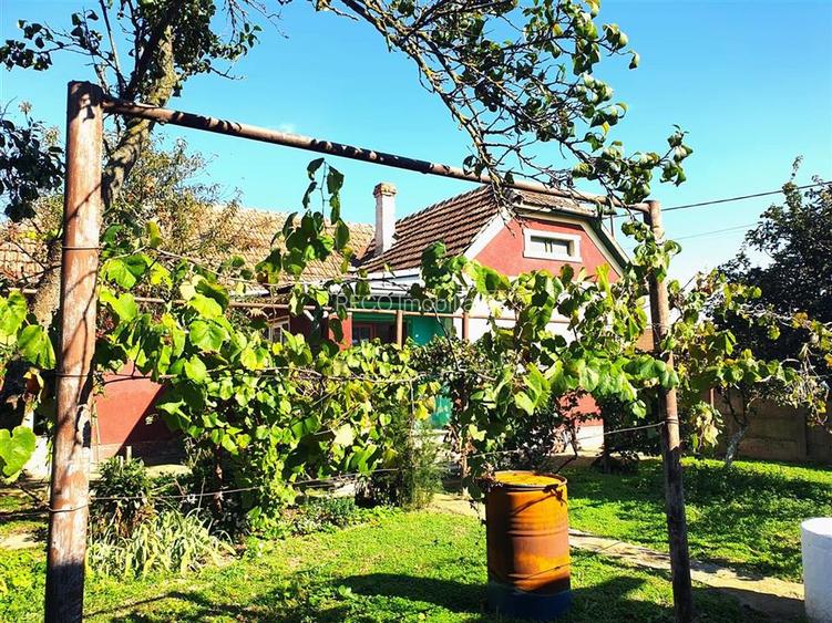 Casa cu teren in Cefa cu dublu front stradal - 12