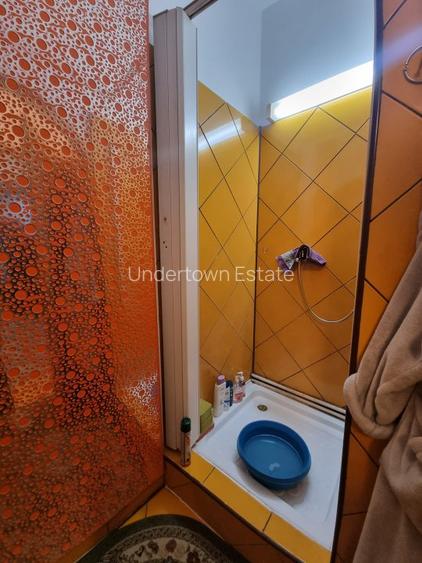 Vilă individuală - Vasile Lascăr - Dacia - 255mp utili - 32