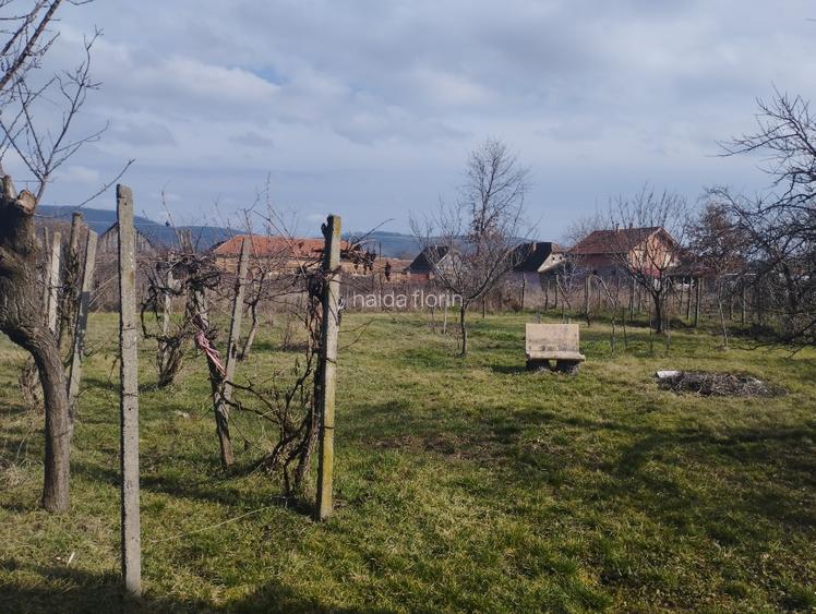 Vânzare casa buteni  - 3