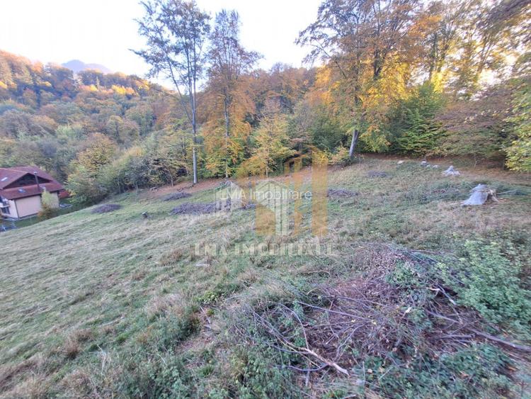 Teren de vanzare 2900 mp Brasov Strada Ciresului - 8