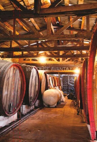 Cramă complet funcțională in inima Podgoriei Odobești - 8