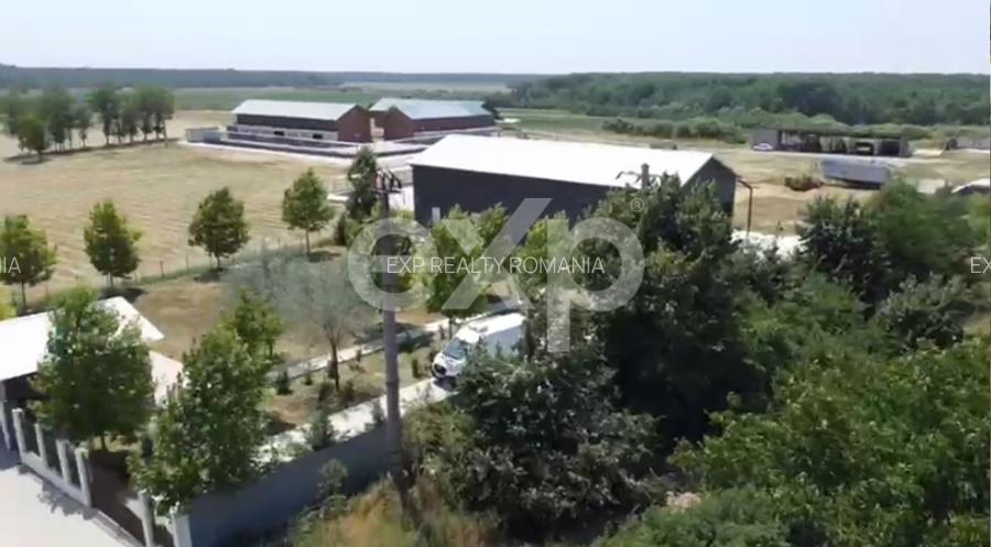 Ferma cu abator autorizat | Singureni Giurgiu - 6