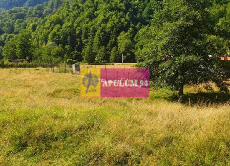 Teren Județul Vâlcea - Brezoi, Valea lui Stan - 17