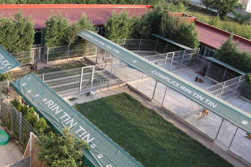 Oferta zilei! Spatiu comercial versatil Voluntari - 8