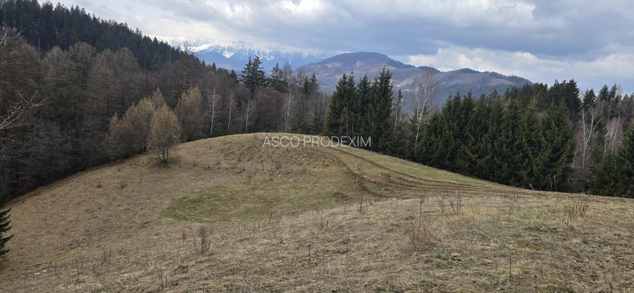 Teren intravilan construibil Brasov Bran  Poarta utilitati vedere spre munti - 7