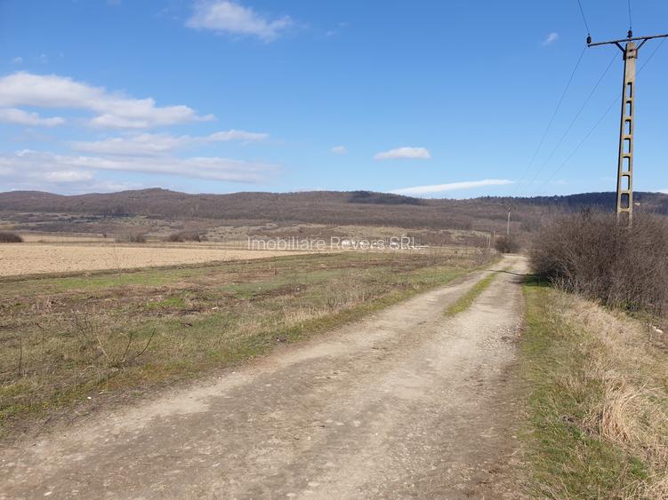 TEREN AGRICOL BABENI LANGA ABATOR LA PROVINCIA - pretabil ferma cu panour solare - 33