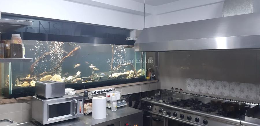 Vila cu 16 camere, ideala pentru azil de batrani sau turism - 22