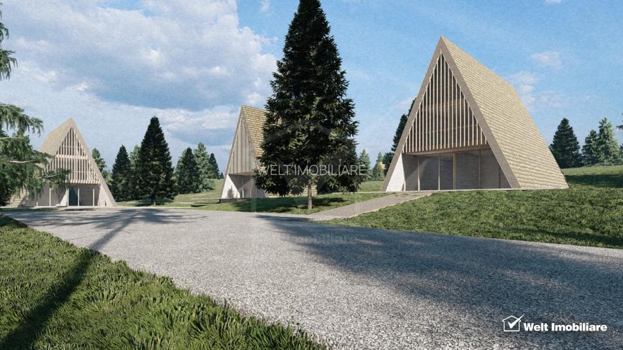 Teren intravilan 10.814 mp cu PUZ aprobat – Belis - 4