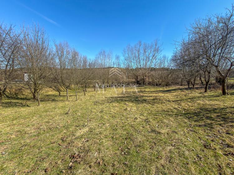 Teren intravilan, la 5 minute de cartierul Valea Aurie, 2388 mp - 3