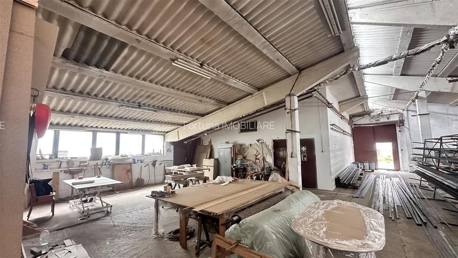 Hale industriale Teliu - 145000e  200.000e  450000e - 7