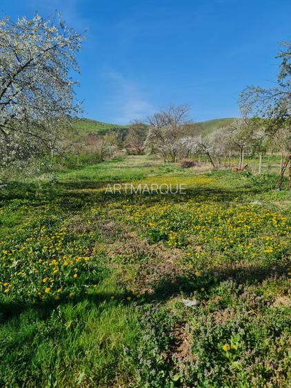 Teren si constructie comuna Magureni - 4