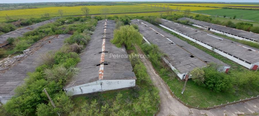 Vand Fost Complex de porci - 3