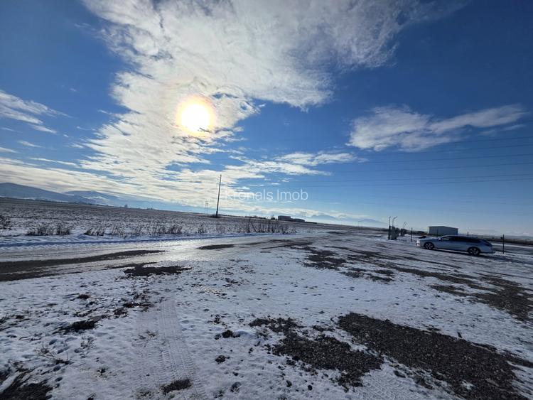 Oportunitate investitie, Hala depozitare cu teren 5.000mp - 6