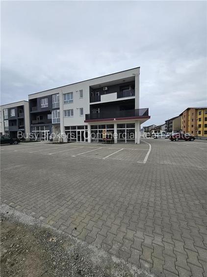 Spatiu Comercial - 116 mp - Alimentatie Publica - Comert - Servicii - 5