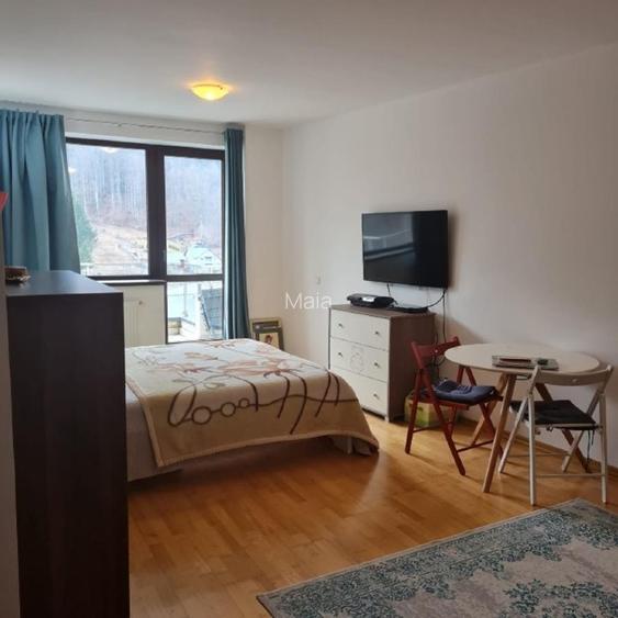 Garsoniera la Colina Mare cu priveliște la munte - 8