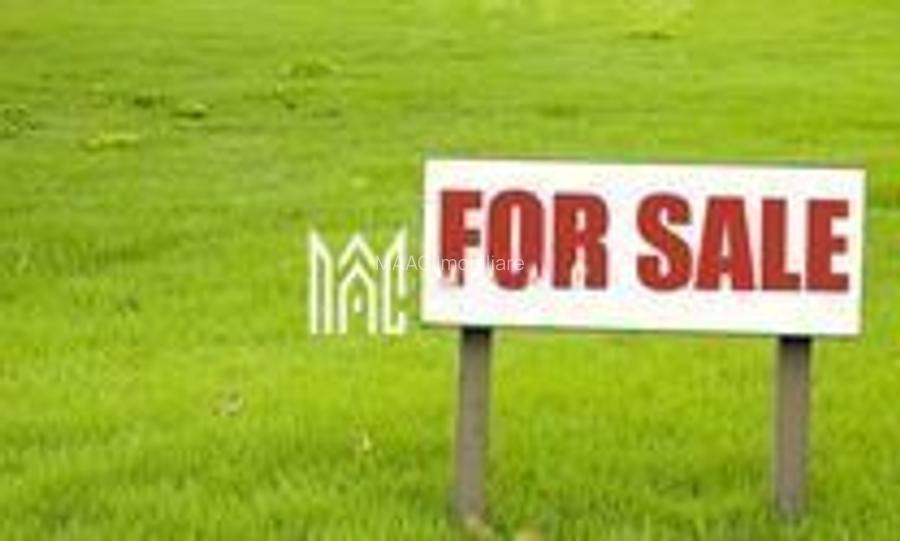 Teren Casa I 486 mp I La strada I Utilitati I Alțina-Sibiu - 2