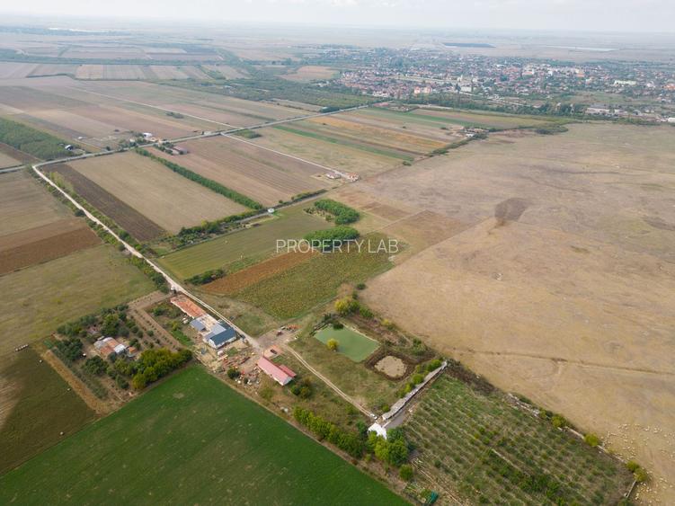 Teren intravilan cu iazuri și casă - Chișineu-Criș - 12