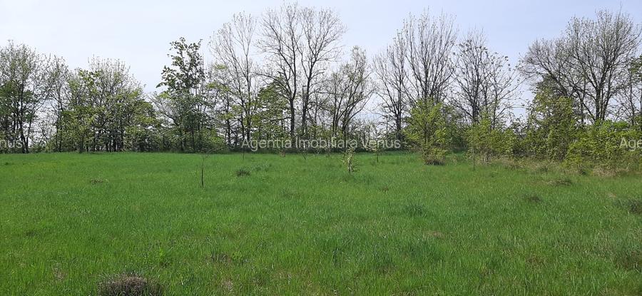 Teren intravilan in Zaicesti zona Conacului cu latura de padure - 2