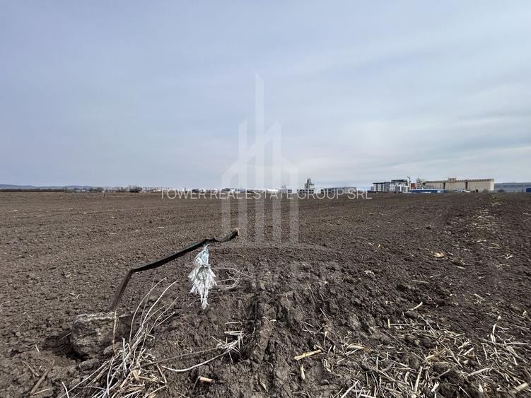 Teren intravilan de vânzare – 10.000 mp – Zona Industrială Vest | Comision 0% - 6