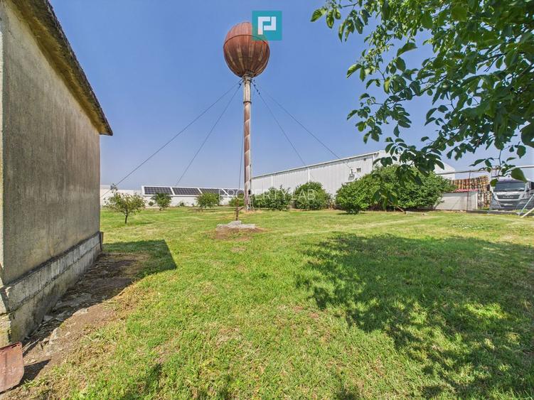 Complex industrial cu hale și teren  în Orțișoara - 43