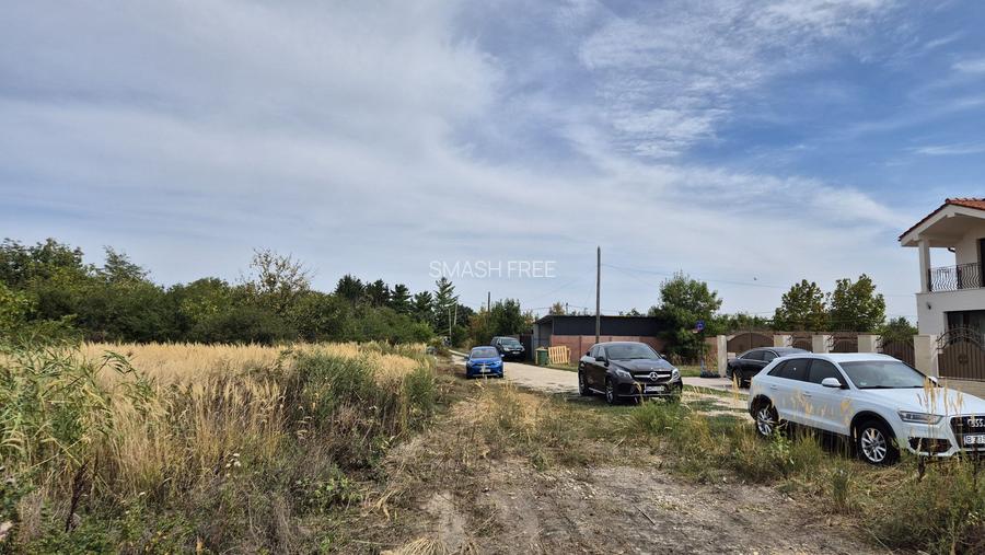 Teren intravilan 1000 mp - Domnesti - 3