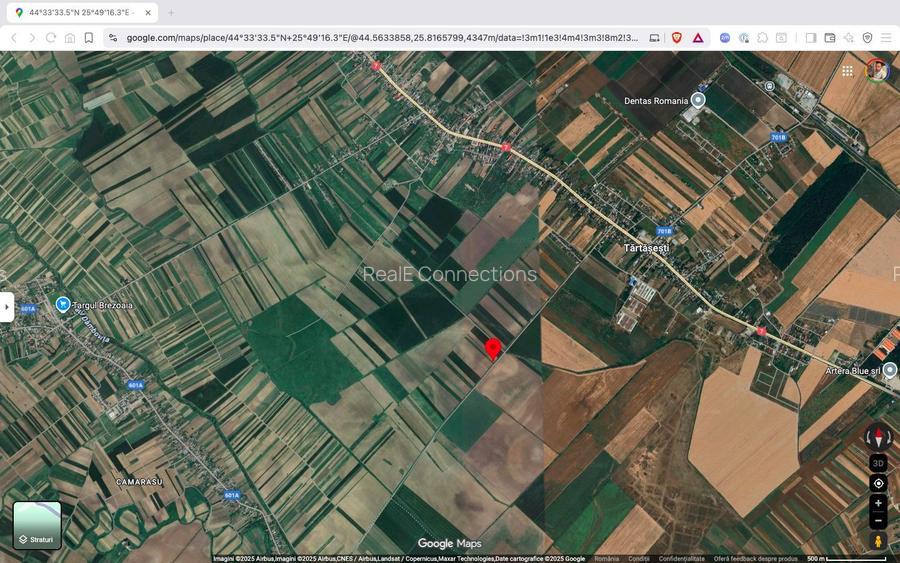 Teren extravilan 10.000 mp Tartasesti Dambovita - 3