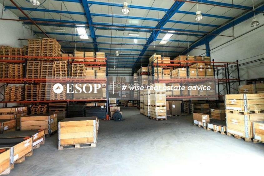 Hala de vanzare Dudesti-Pantelimon - 9