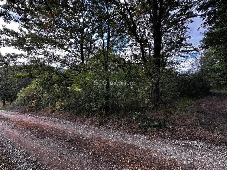 RECO Teren intravilan  Zona Vadu Crisului Bihor - 7