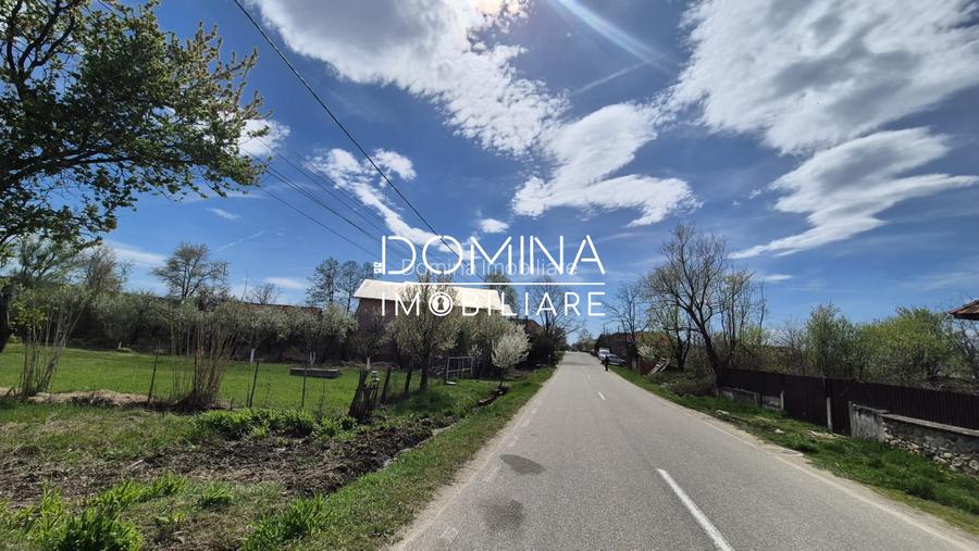 Oportunitate teren 6.504 mp – Curtișoara, la 11 km distanță de Târgu Jiu - 2